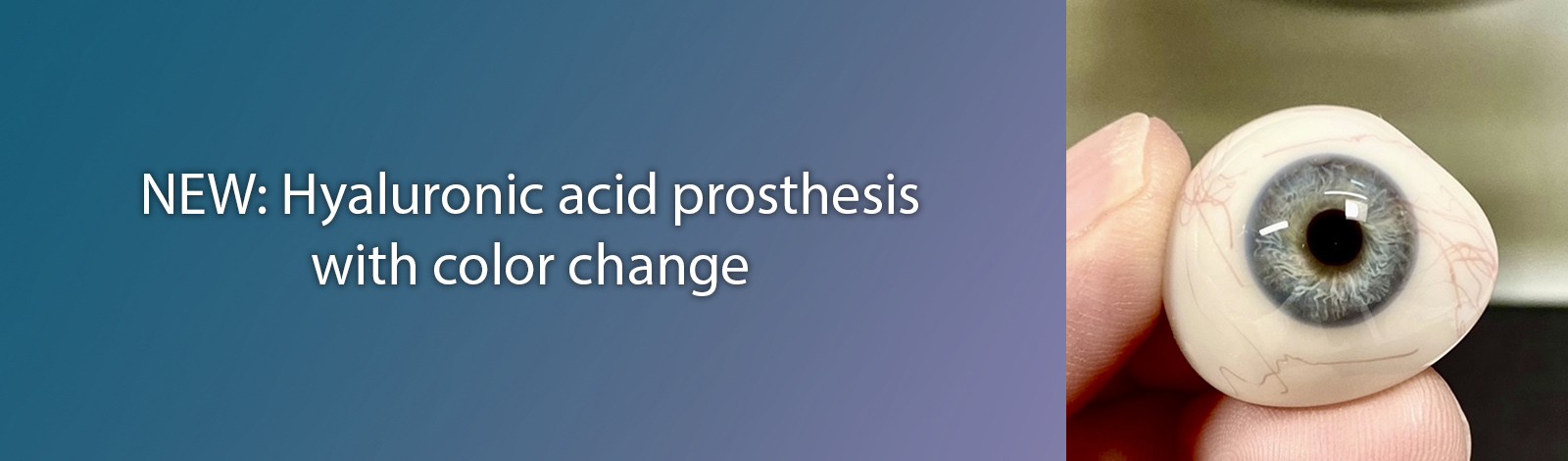 slider-llapart05-eng