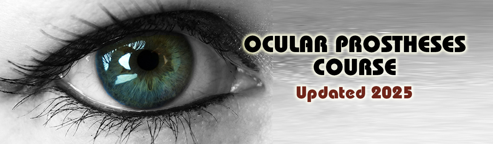 slider-llapart02025eng